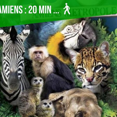 Duplex Safari Jusqu'A 4 Personnes, Spa, Cinema Et Lit Sous Les Arbres, Day Use, 10 Min Centre Amiens Ngoại thất bức ảnh