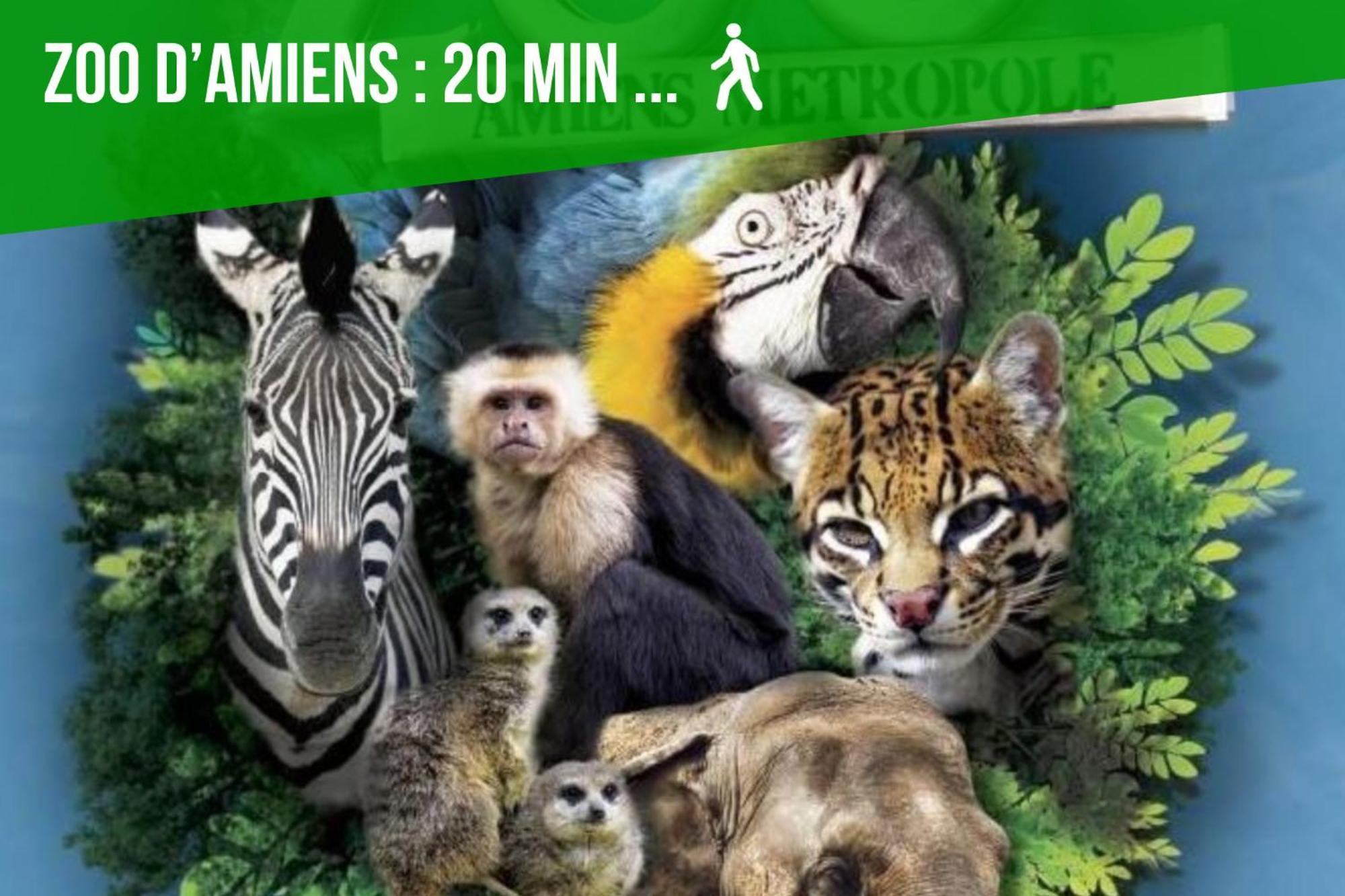 Duplex Safari Jusqu'A 4 Personnes, Spa, Cinema Et Lit Sous Les Arbres, Day Use, 10 Min Centre Amiens Ngoại thất bức ảnh